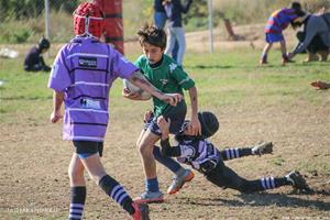 Torneig dels Dofins - Escoles de Rugby