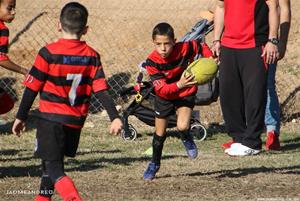 Torneig dels Dofins - Escoles de Rugby