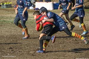 Torneig dels Dofins - Escoles de Rugby