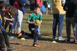 Torneig dels Dofins - Escoles de Rugby