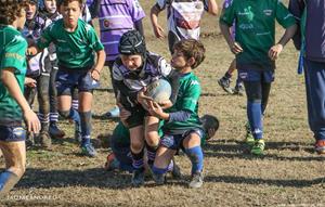 Torneig dels Dofins - Escoles de Rugby