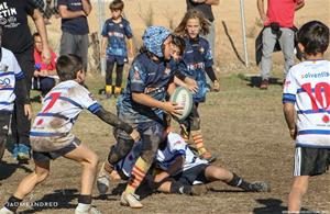 Torneig dels Dofins - Escoles de Rugby