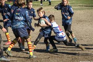 Torneig dels Dofins - Escoles de Rugby