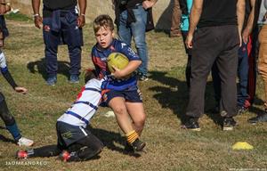 Torneig dels Dofins - Escoles de Rugby