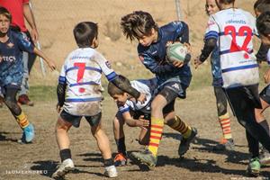 Torneig dels Dofins - Escoles de Rugby