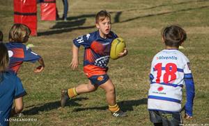 Torneig dels Dofins - Escoles de Rugby