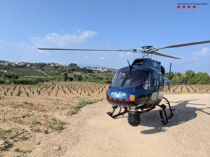 Troben sa i estalvi un home desorientat a Sant Sadurní d’Anoia. Mossos d'Esquadra