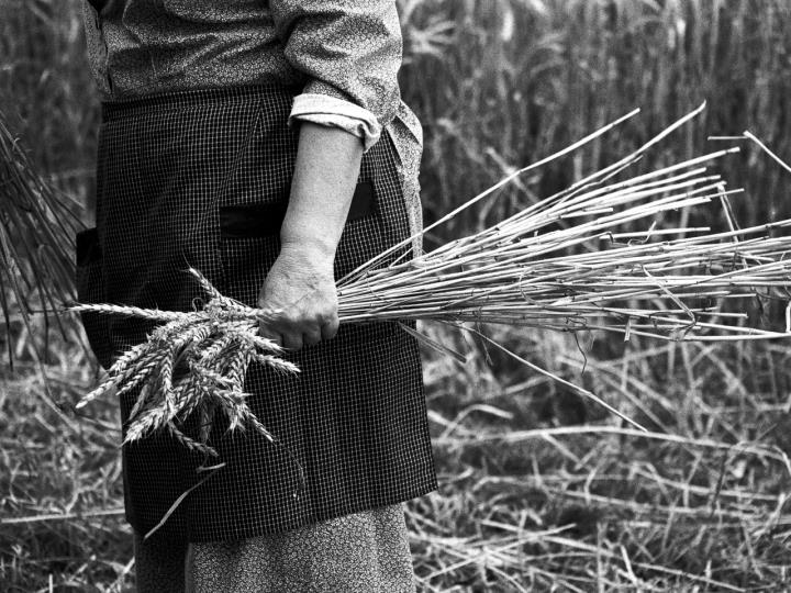 Un estudi sosté que l'envelliment i la despoblació afectaran el món rural de manera desigual els pròxims anys. Fundació del Món Rural