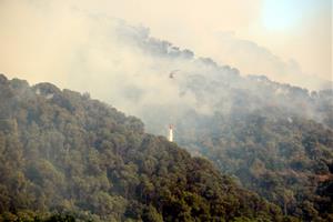 Un incendi a Capellades ha cremat ja 30 hectàrees de superfície forestal. ACN