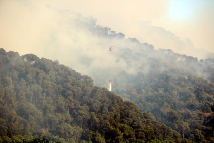 Un incendi a Capellades ha cremat ja 30 hectàrees de superfície forestal. ACN