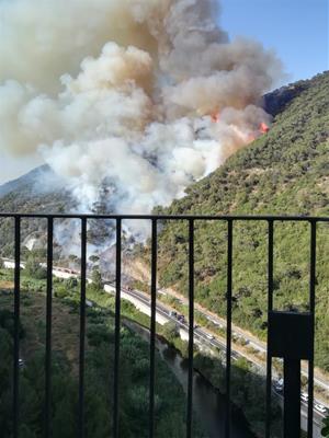 Un incendi a Capellades ha cremat ja 30 hectàrees de superfície forestal