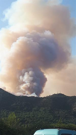 Un incendi a Capellades ha cremat ja 30 hectàrees de superfície forestal