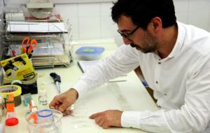 Un investigador de la Xarxa Aerobiològica de Catalunya de l’Institut de Ciència i Tecnologia Ambiental de la UAB analitzant una mostra de pol·len. ACN