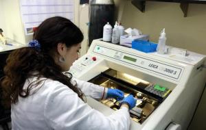 Una investigadora treballant al laboratori del grup de recerca en Malalties Neurodegeneratives del Vall d’Hebron Institut de Recerca. ACN