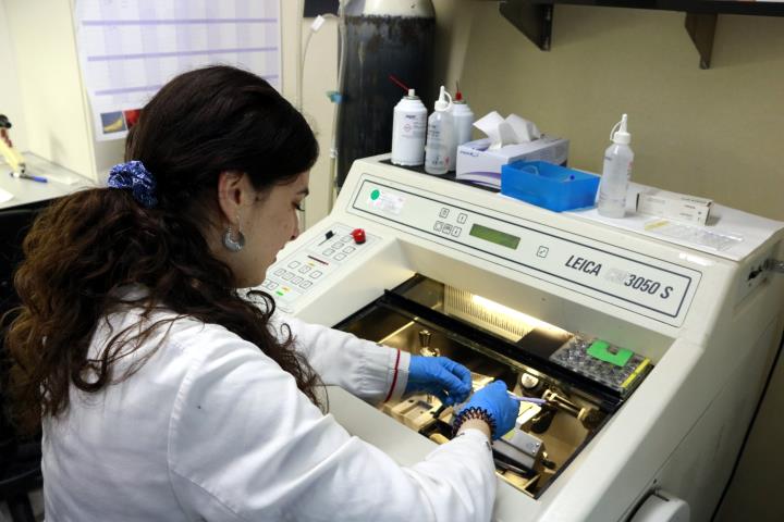 Una investigadora treballant al laboratori del grup de recerca en Malalties Neurodegeneratives del Vall d’Hebron Institut de Recerca. ACN