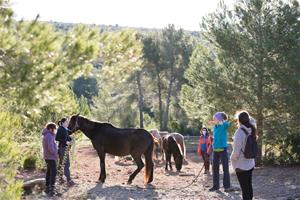 45 cavalls s’incorporen al projecte de regeneració de pastures al Parc del Garraf