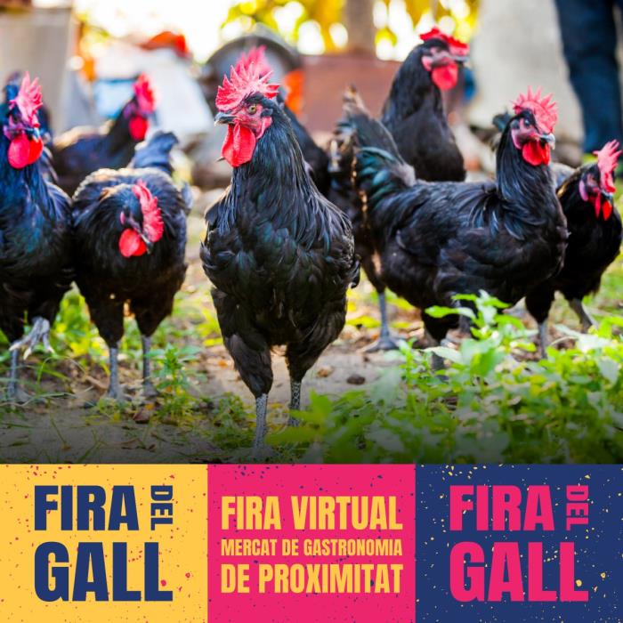 356a edició Fira del Gall 