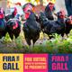 356a+edici%c3%b3+Fira+del+Gall+