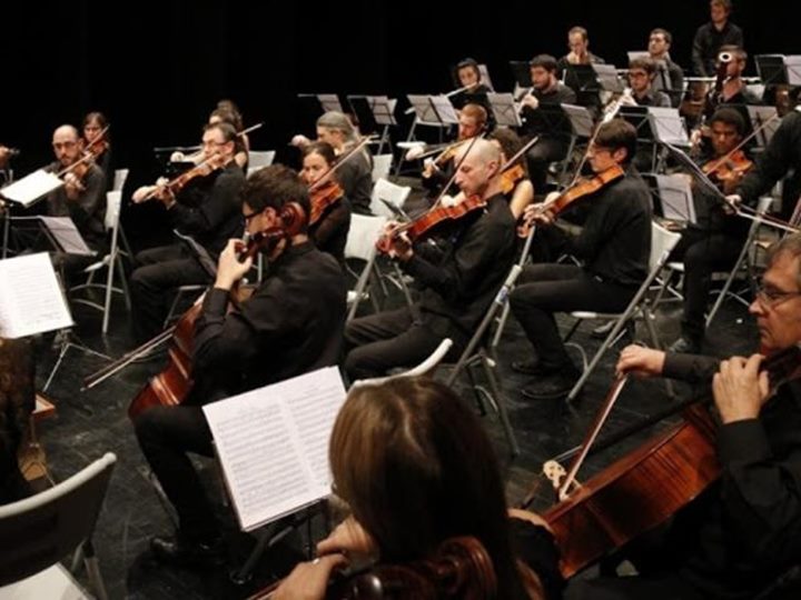 Camerata Eduard Toldrà. Direcció Xavier Pagès-Corella