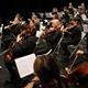 Camerata+Eduard+Toldr%c3%a0.+Direcci%c3%b3+Xavier+Pag%c3%a8s-Corella
