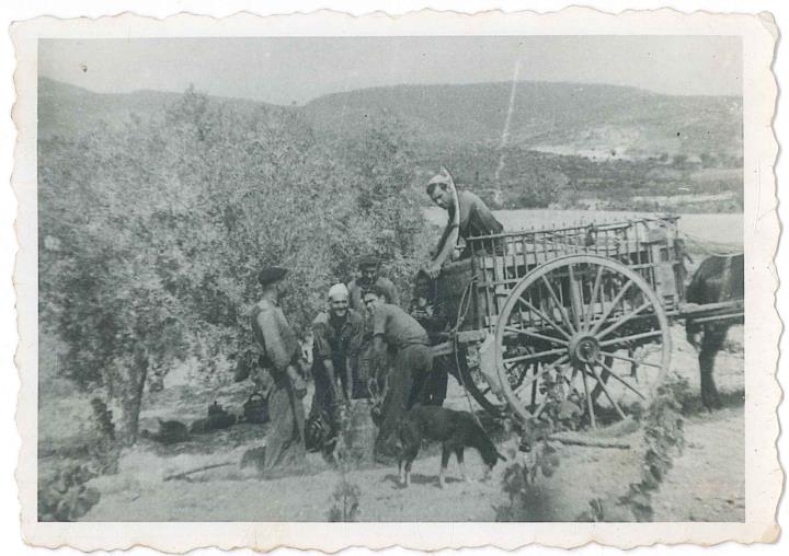 Concurs de fotografia de les festes de Sant Isidre de Font-Rubí