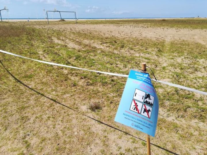 Dia Mundial del Medi Ambient a Vilanova