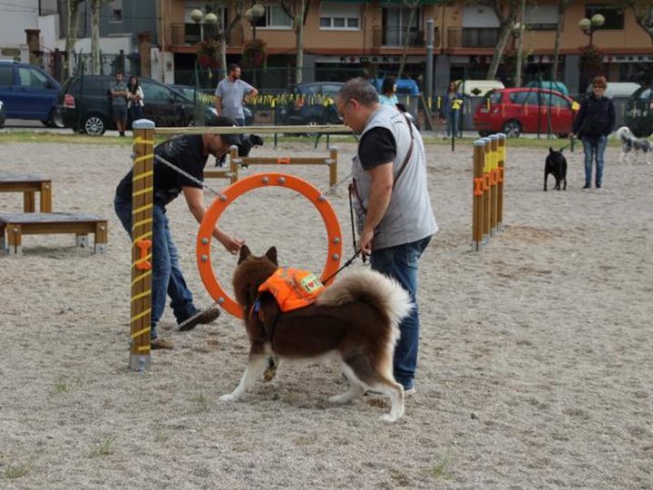 La Festa de l'Animal 