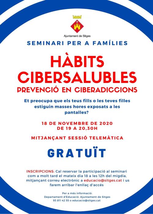 Seminari per a famílies sobre hàbits cibersaludables de prevenció en ciberaddiccions