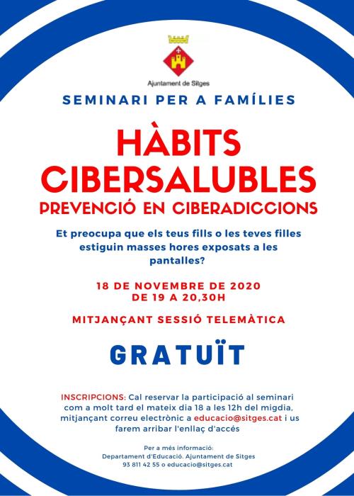 Seminari per a famílies sobre hàbits cibersaludables de prevenció en ciberaddiccions