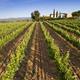 Tert%c3%balia+liter%c3%a0ria+a+Jean+Leon+amb+Rafel+Nadal%2c++Marta+Orriols+i+Jordi+Amat
