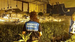 Agent municipal en una casa amb una plantació de marihuana. Eix