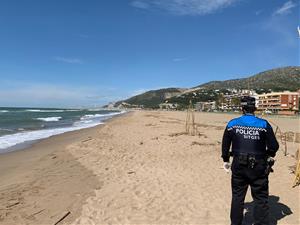 Apareix un dofí mort a la platja de les Botigues de Sitges