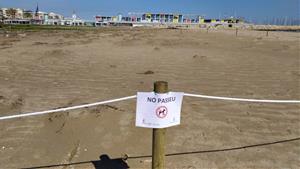 Calafell tanca una zona de la platja per la troballa d'un niu de corriol camanegre en plena criança