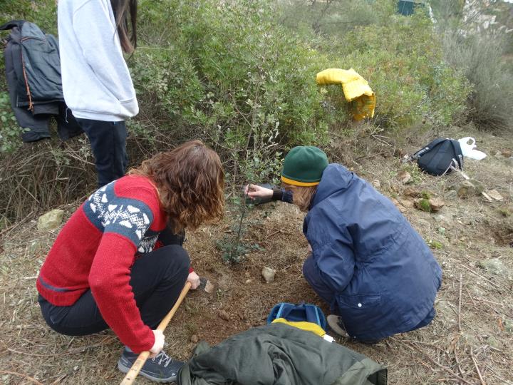 Canyelles converteix el Dia de l'Arbre en una jornada reivindicativa del distintiu Biosphere. Ajuntament de Canyelles