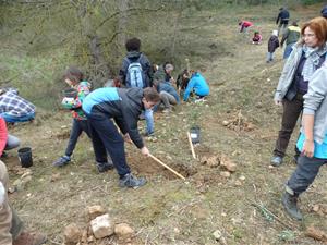 Canyelles converteix el Dia de l'Arbre en una jornada reivindicativa del distintiu Biosphere