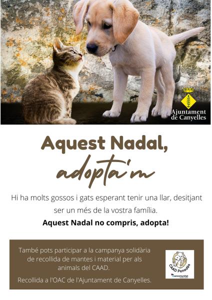 Canyelles impulsa una campanya d'adopció d'animals per Nadal. EIX
