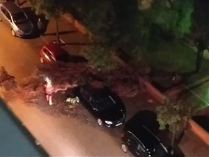 Carrers inundats aquesta nit a Vilanova i la Geltrú. Policia local de Vilanova