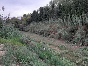 Comencen els treballs per reduir el risc d’inundabilitat de la riera de Ribes al seu pas per Rocamar