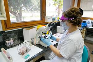 Continua creixent el nombre de positius per coronavirus al Penedès i Garraf i se situa en 646. CSAPG