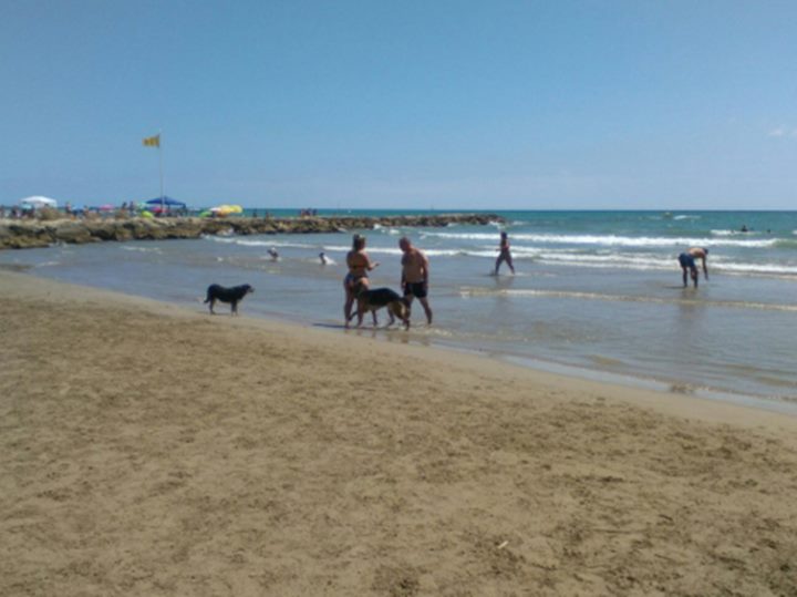 Cubelles reobre l’espai per a gossos de la platja de Les Salines. Ajuntament de Cubelles