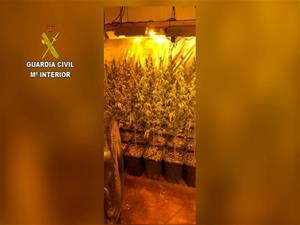 Desarticulen una organització dedicada al tràfic internacional de marihuana amb ramificacions a Canyelles, Olivella i Calafell. Guàrdia Civil