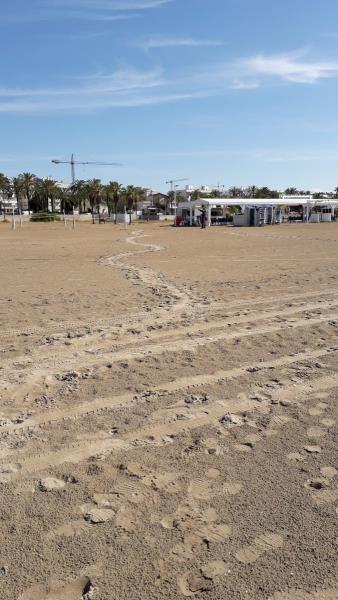 Detecten la presència d'una tortuga careta a la platja de Vilanova, la primera d'aquesta temporada a Catalunya. Territori