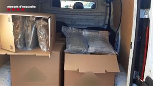 Detingut a Cubelles transportant 100 quilos de cabdells de marihuana en furgoneta. Mossos d'Esquadra
