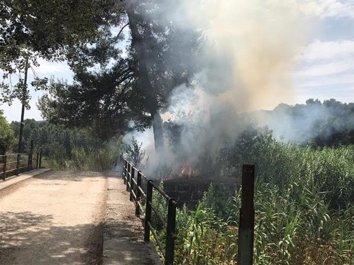 Dos petits incendis a Torrelavit cremen una zona de matoll de Can Rossell i un canyar a la zona del Molí Parellada. Ajuntament de Torrelavit