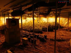 Dsmantellen dues plantacions indoor de marihuana a Cubelles