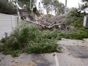 Efectes del temporal de vent i pluja a Olivella. Ajuntament d'Olivella