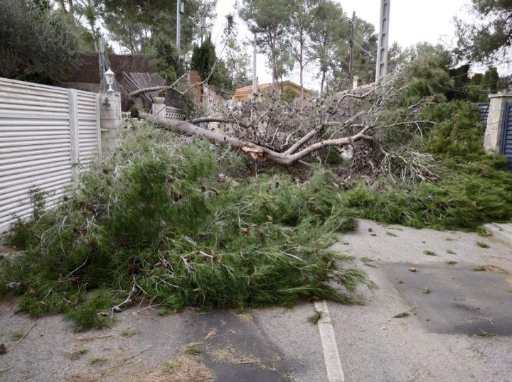 Efectes del temporal de vent i pluja a Olivella. Ajuntament d'Olivella