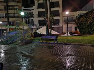 Efectes del temporal de vent i pluja a Vilanova i la Geltrú. Policia local de Vilanova