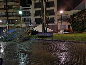 Efectes del temporal de vent i pluja a Vilanova i la Geltrú. Policia local de Vilanova