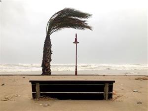 Efectes del temporal de vent i pluja al passeig de Cubelles. EIX